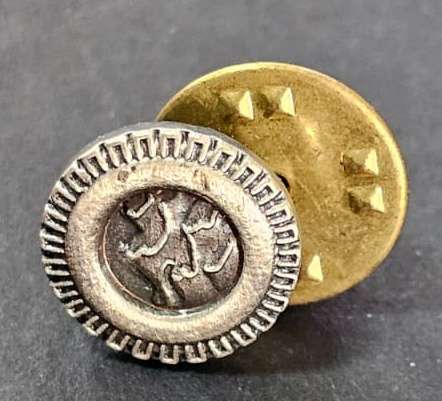 SADF - South West Africa Territorial Forces ( SWATF ) Pin Badge