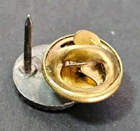 SADF - South West Africa Territorial Forces ( SWATF ) Pin Badge