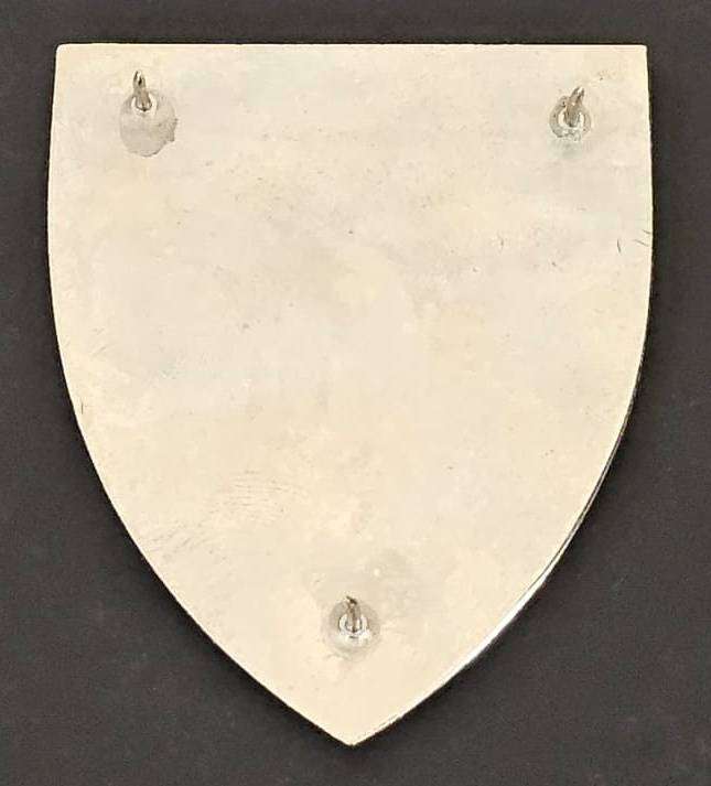 SADF - Fickburg Commando Shoulder Flash