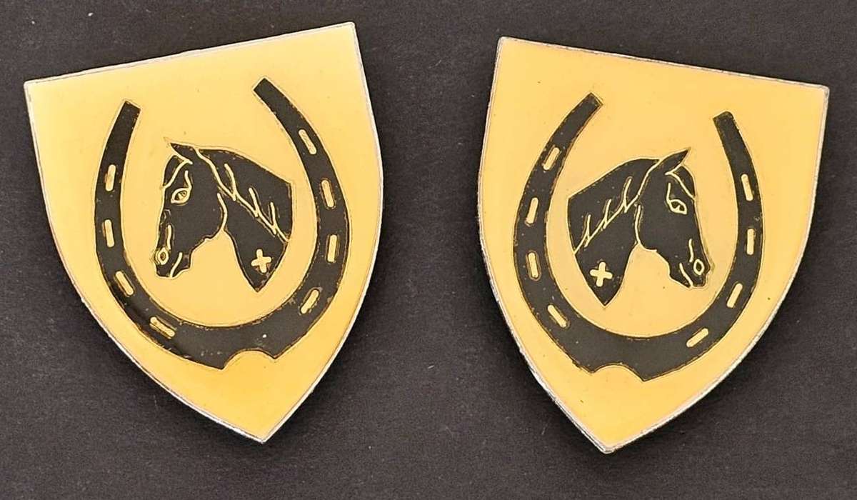 SADF - Equestrian Center Shoulder Flash Pair