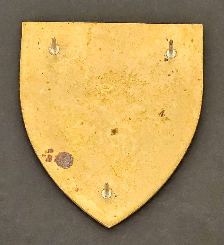 SADF - Dog Center Shoulder Flash