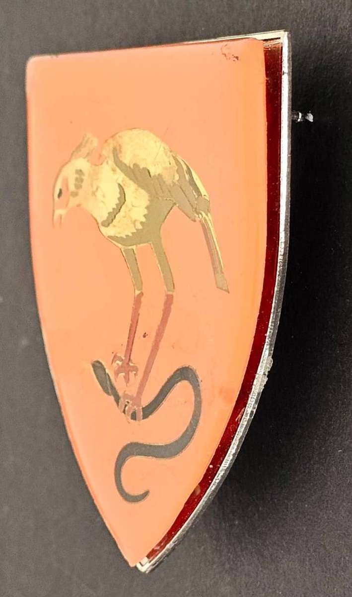 SADF - Randburg Commando Shoulder Flash