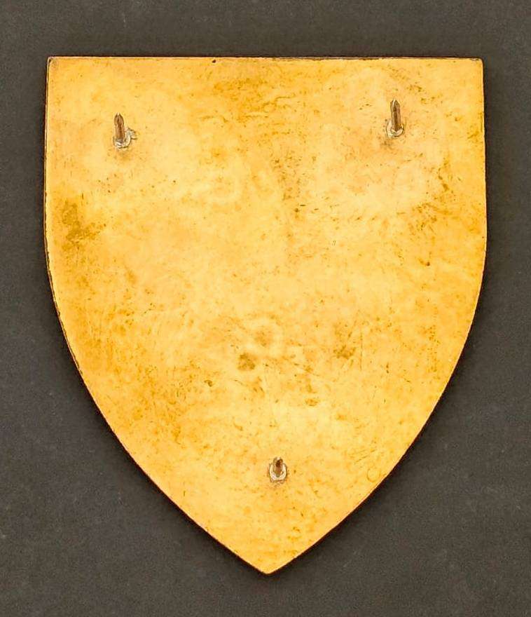 SADF - Irene Commando Shoulder Flash