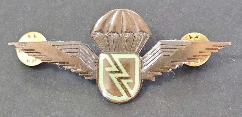 South African Escom Security Services Parachute Wing