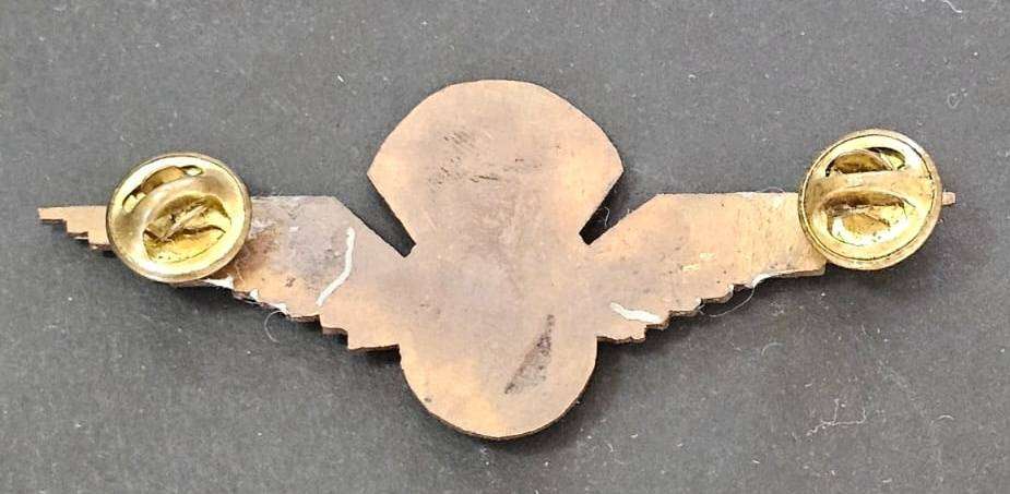 South African Escom Security Services Parachute Wing