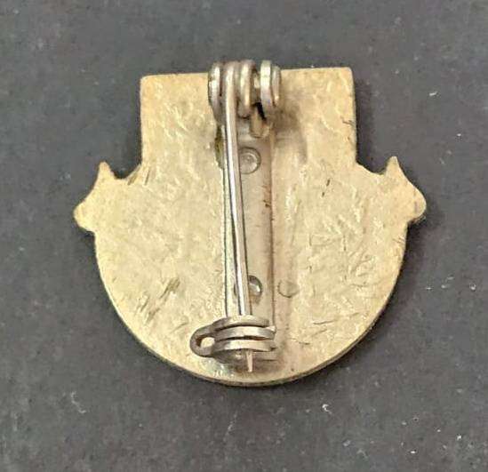 South African Escom Security Services Brooch Pin