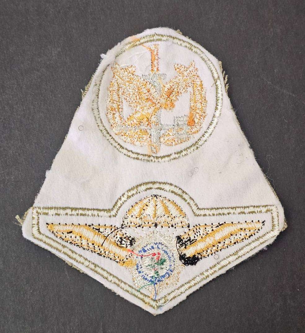 South African Police Task Force Combined Operator Camo Badge