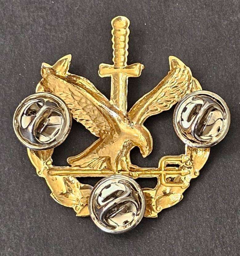 South African Police Special Task Force Operators Breast Badge