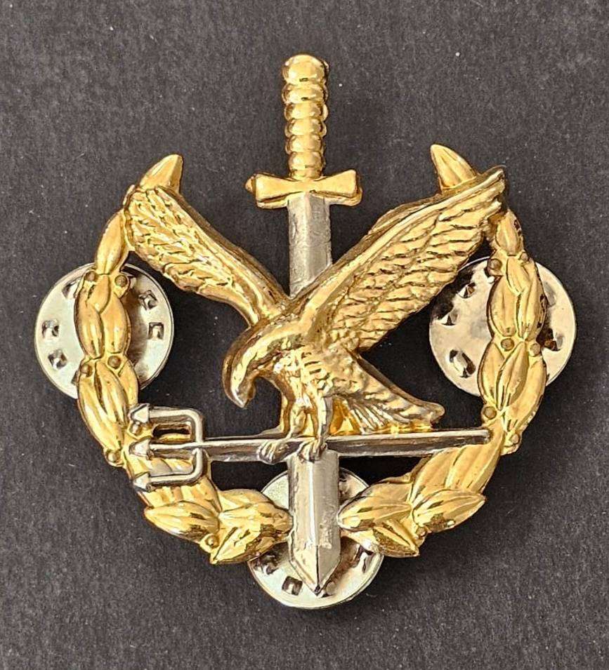 South African Police Special Task Force Operators Breast Badge