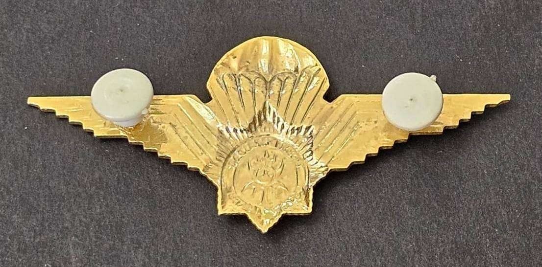 South African Police Task Force Combined Parachute Wing