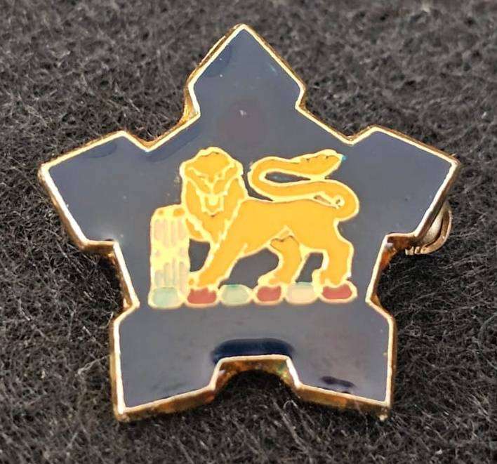 SADF - Navy Pin Badge