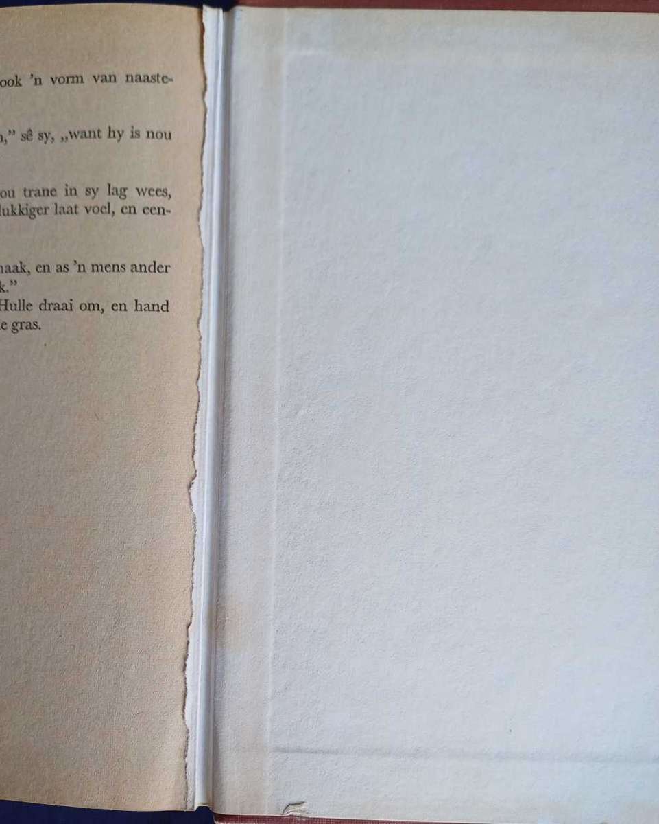 Rooi lag van die lewe deur Vincent van der Westhuizen