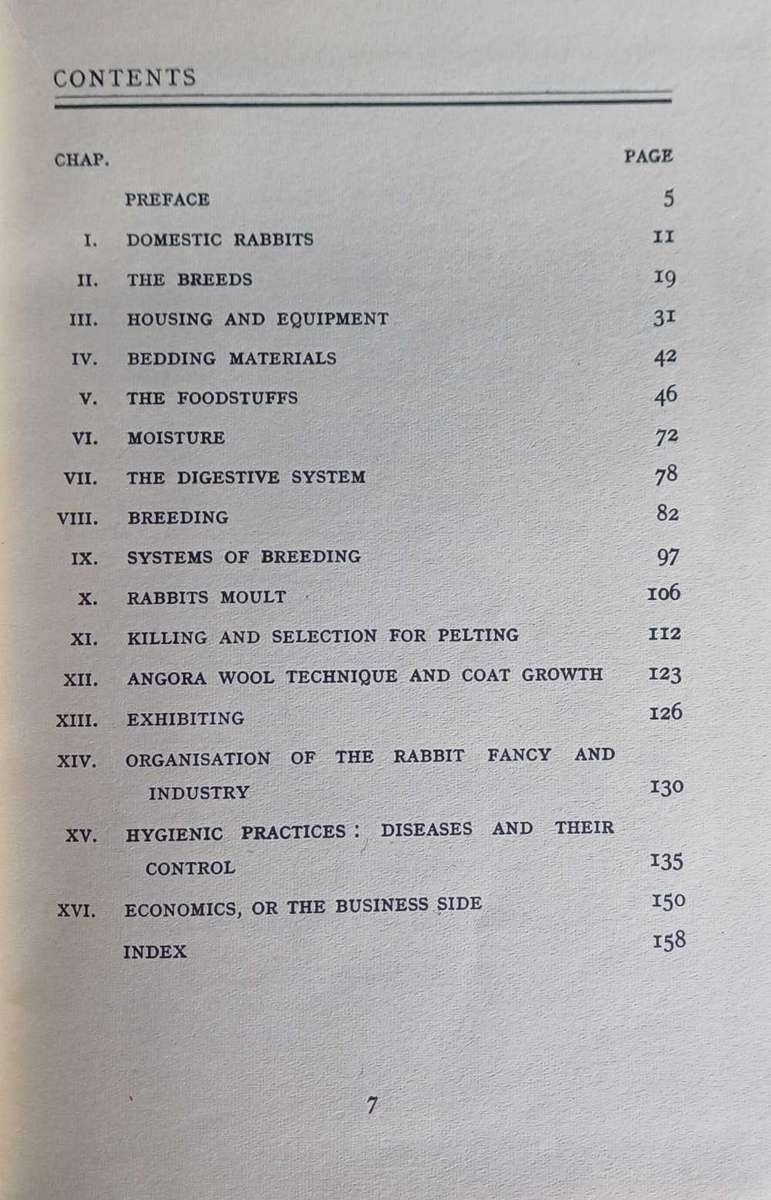 Modern rabbit husbandry