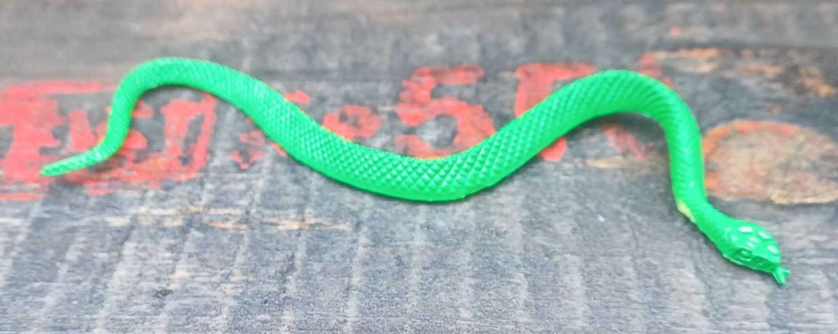 Small toy snake