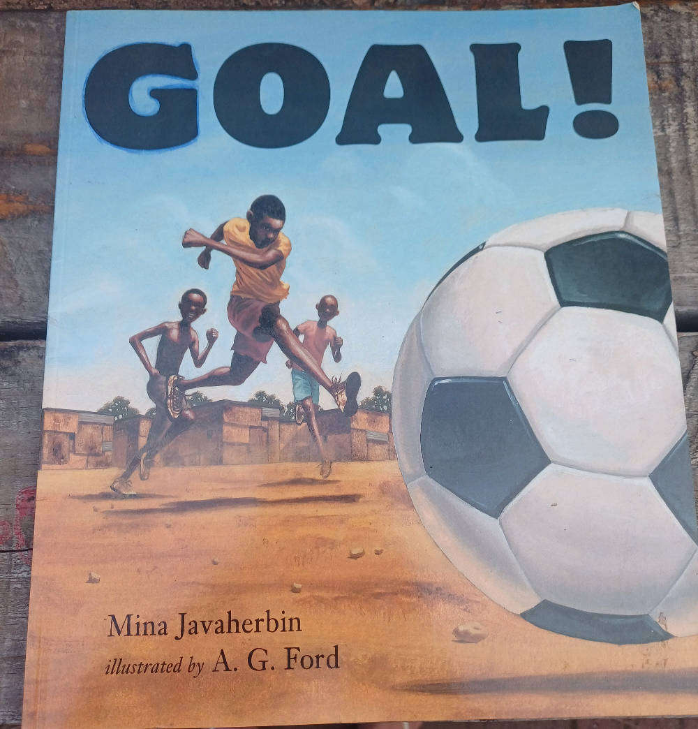 Goal by Mina Javaherbin