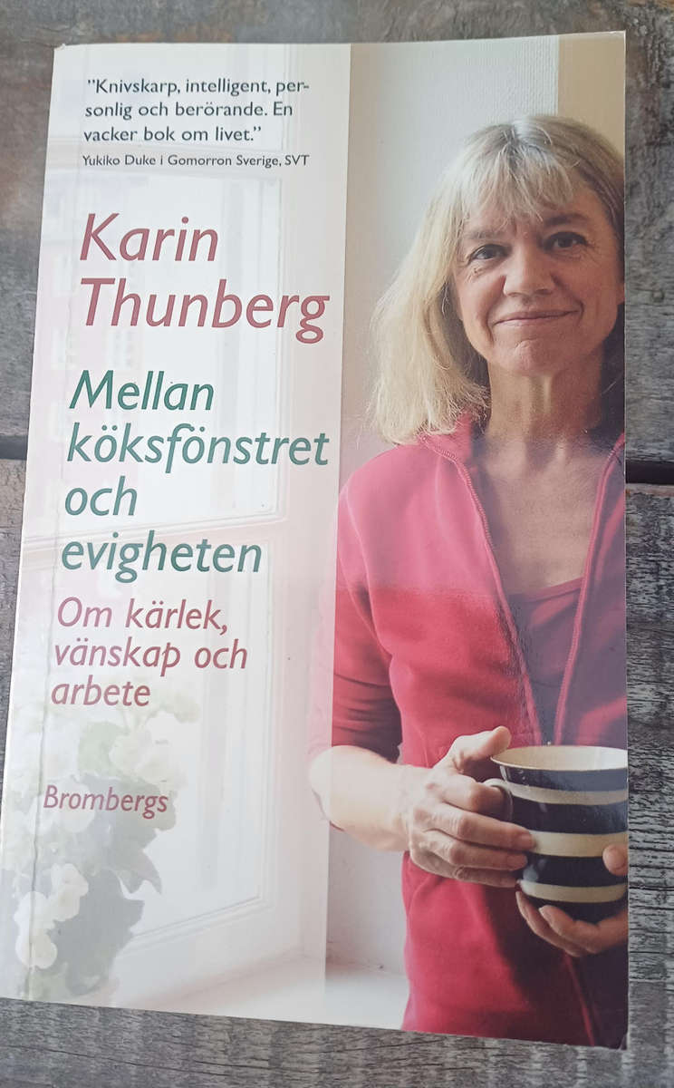 Mellan koksfonstret och evigheten by Karin Thunberg