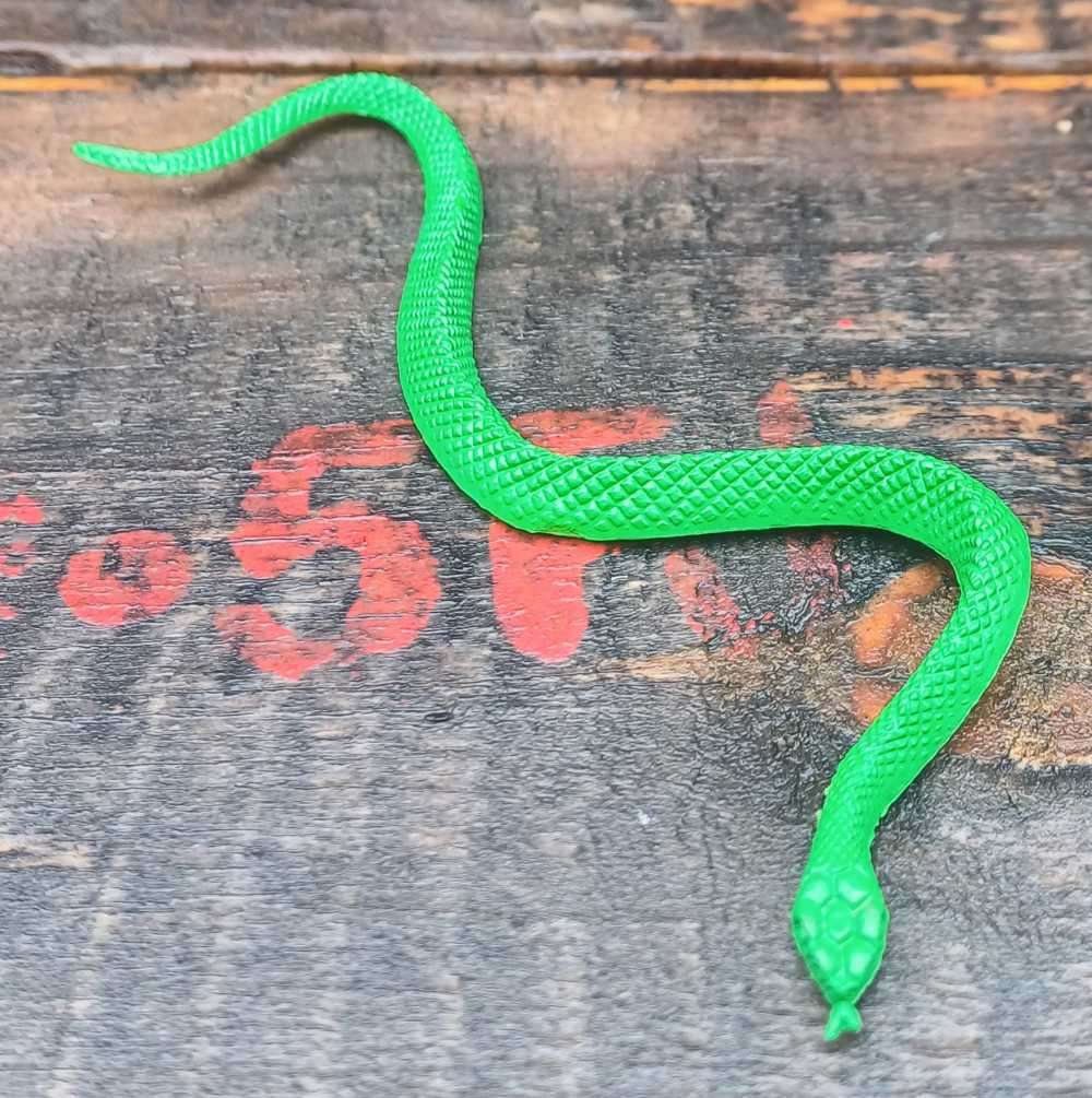 Small toy snake