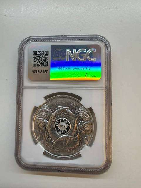 2023 R5 BUFFALO NGC PF69 , SECOND SERIES