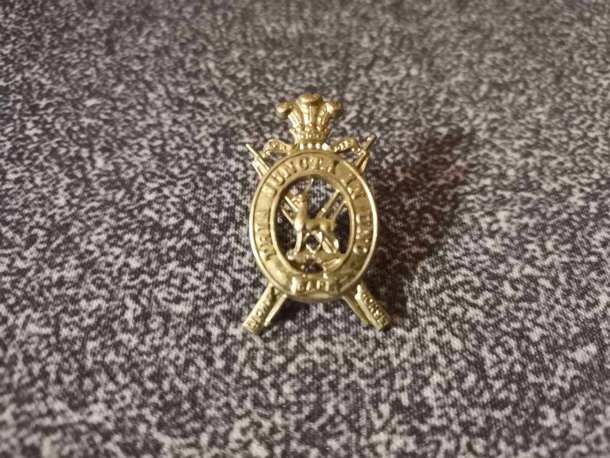 Cape Light Horse collar badge