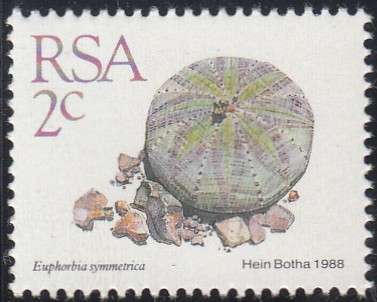RSA 1991: 5th DEFINITIVE ISSUE 2c MNH (SACC 669)