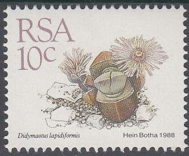 RSA 1988: 5th DEFINITIVE ISSUE SUCCULENTS FULL SET OF 15 STAMPS MNH (SACC 668-682)