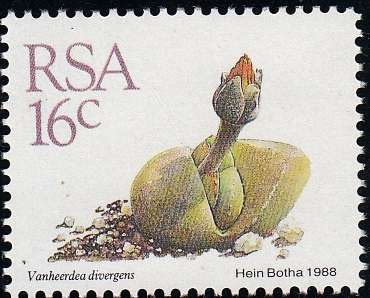 RSA 1988: 5th DEFINITIVE ISSUE SUCCULENTS FULL SET OF 15 STAMPS MNH (SACC 668-682)