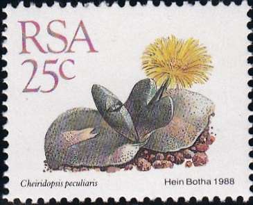 RSA 1988: 5th DEFINITIVE ISSUE SUCCULENTS FULL SET OF 15 STAMPS MNH (SACC 668-682)