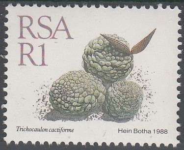 RSA 1988: 5th DEFINITIVE ISSUE SUCCULENTS FULL SET OF 15 STAMPS MNH (SACC 668-682)