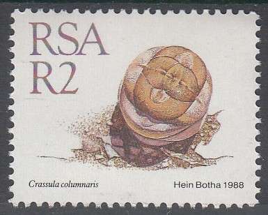 RSA 1988: 5th DEFINITIVE ISSUE SUCCULENTS FULL SET OF 15 STAMPS MNH (SACC 668-682)