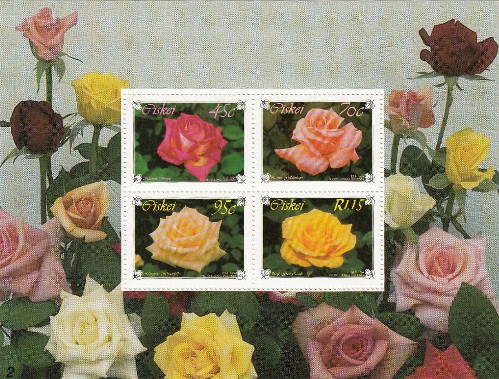 CISKEI 1994  MINIATURE SHEET - HYBRIT ROSES MNH (SACC 255)