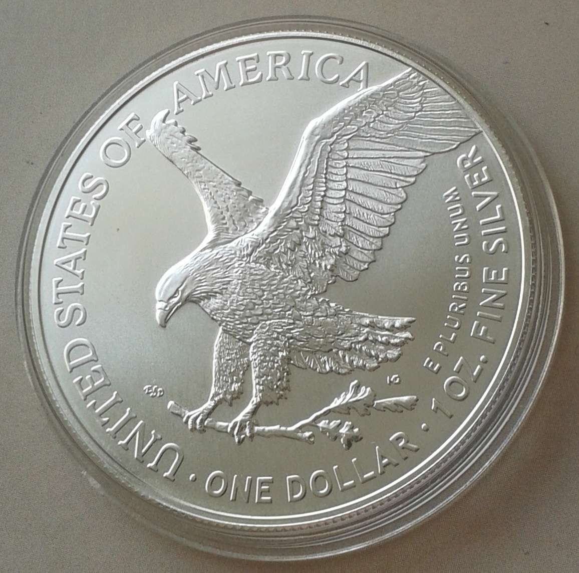 Encapsulated 2023 USA 1oz fine silver Eagle (New design)
