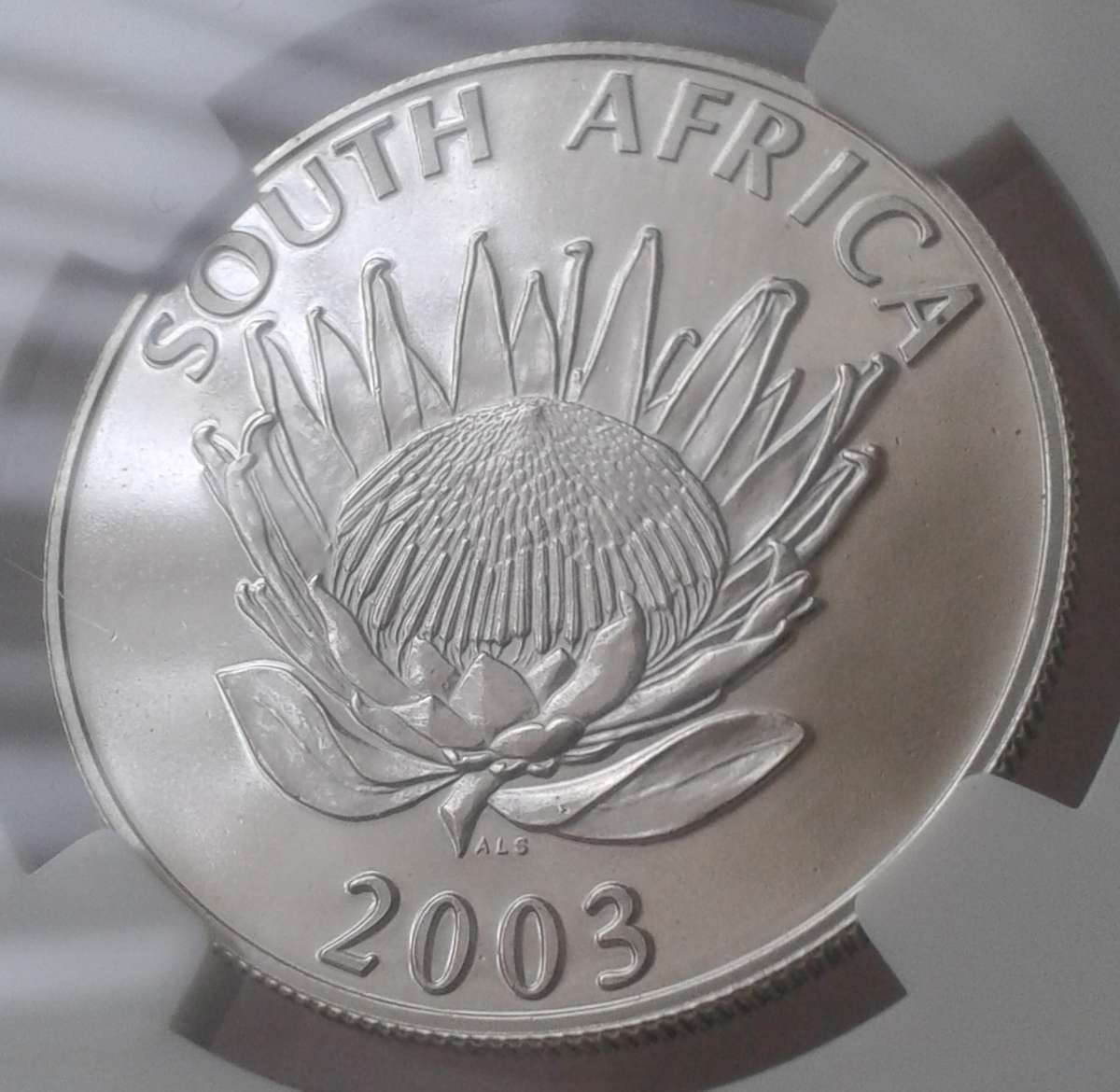 Scarce 2003 Cricket silver R1 NGC MS66 (mintage: 447)