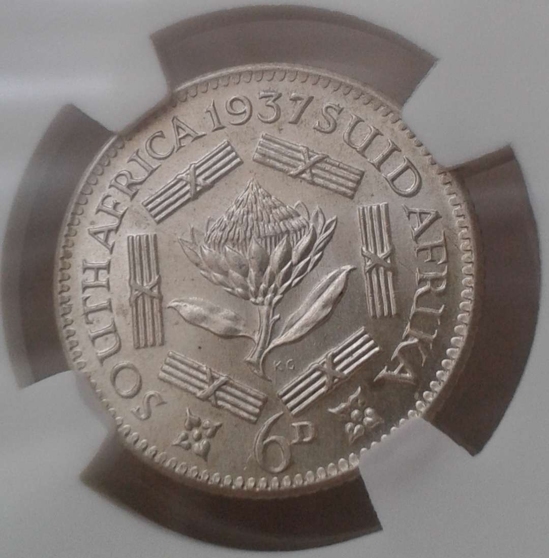 Nice 1937 union silver sixpence SANGS MS61