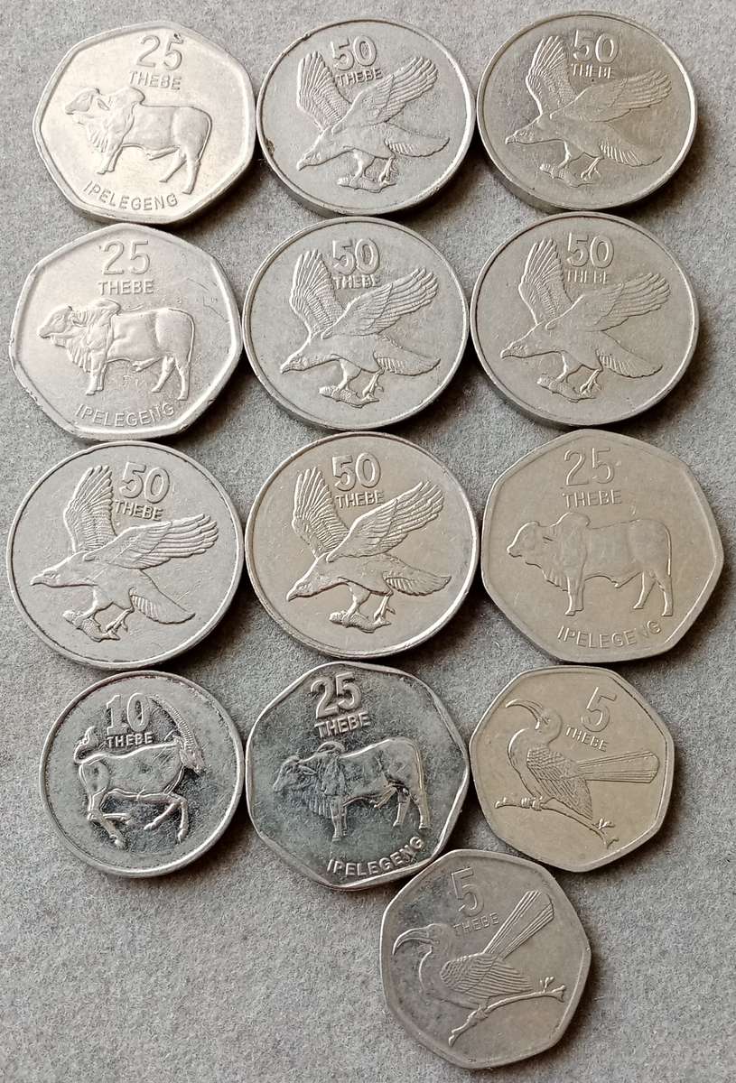 Lot of x13 Botswana coins