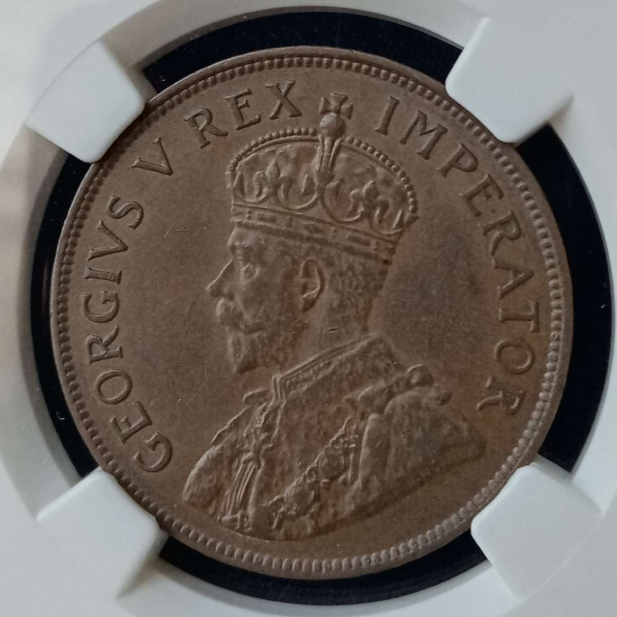 1929 Union penny NGC AU55 BN