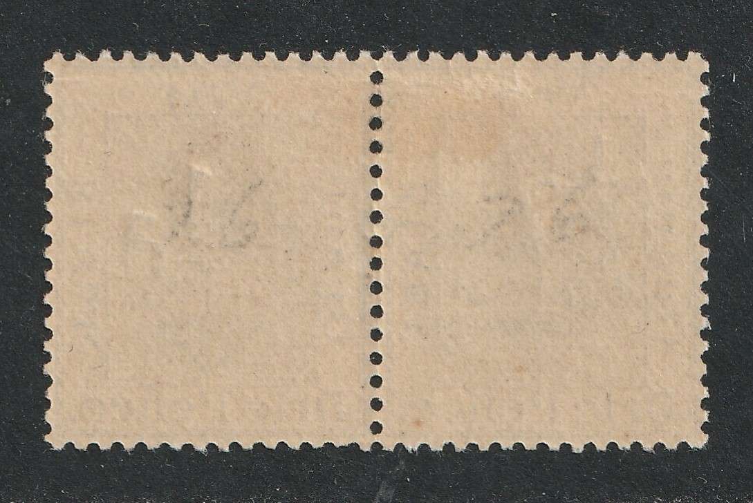 ORANGE FREE STATES - 1896   1/2d on 3d pair with "Double surcharge" *MM* SACC 44a