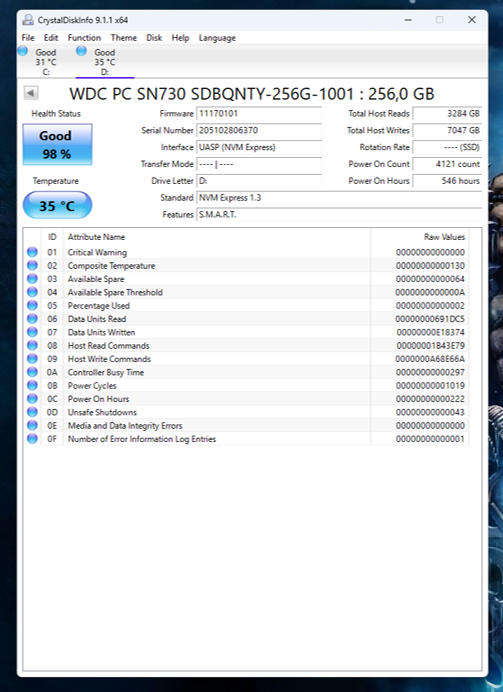 NVMe - 256GB Western Digital