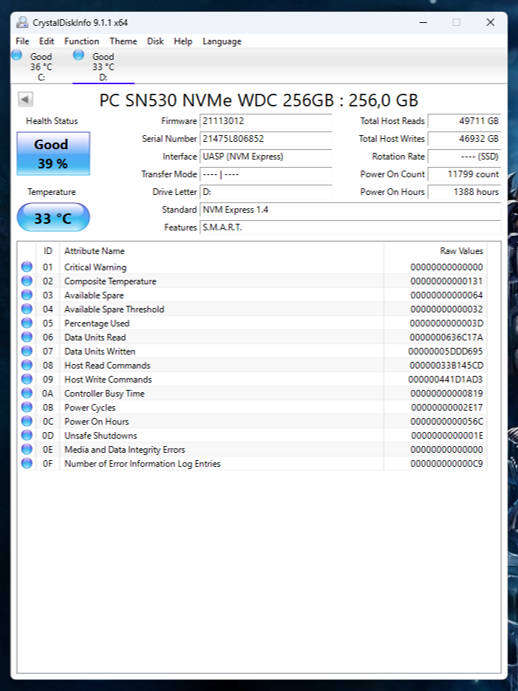 NVMe - 256GB Western Digital