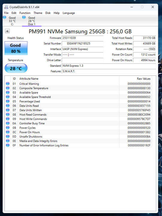NVMe - 256GB Samsung
