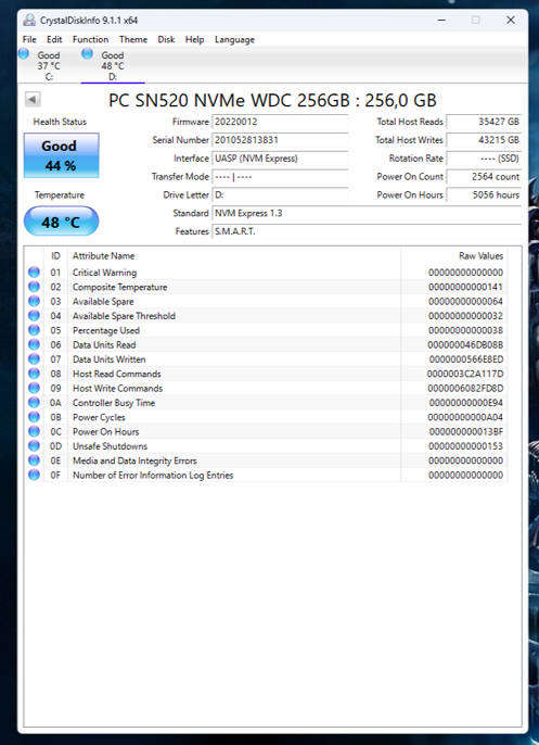 NVMe - 256GB Western Digital