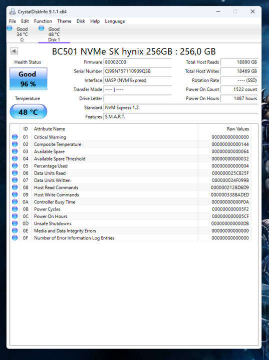NVMe - 256GB SK Hynix