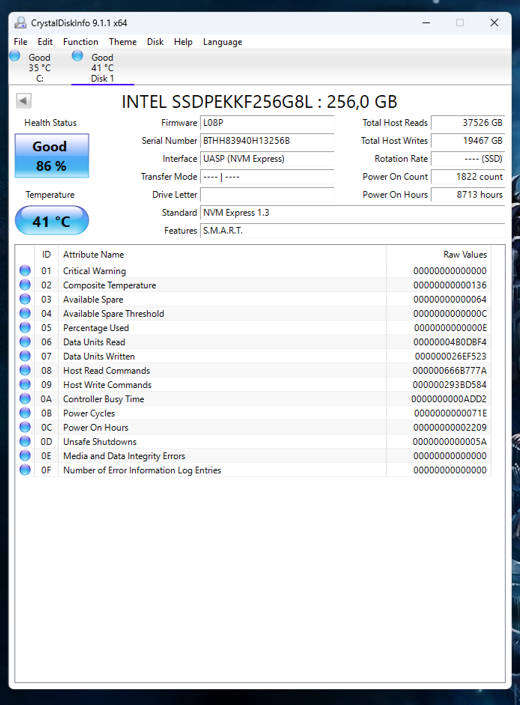 NVMe - 256GB Intel