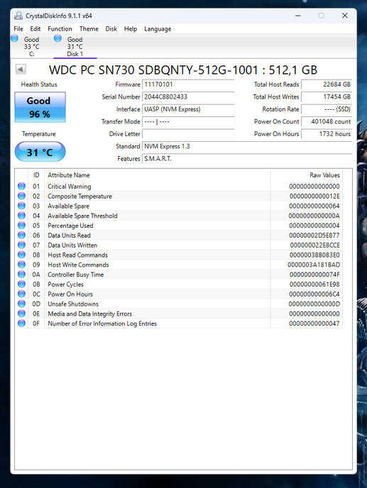 NVMe - 512GB Western Digital