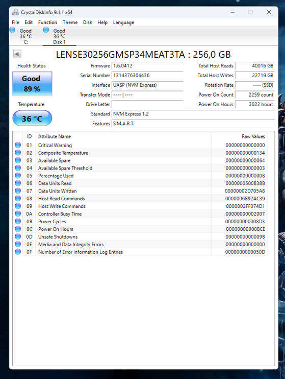 NVMe - 256GB Union Memory