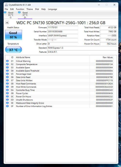 NVMe - 256GB Western Digital