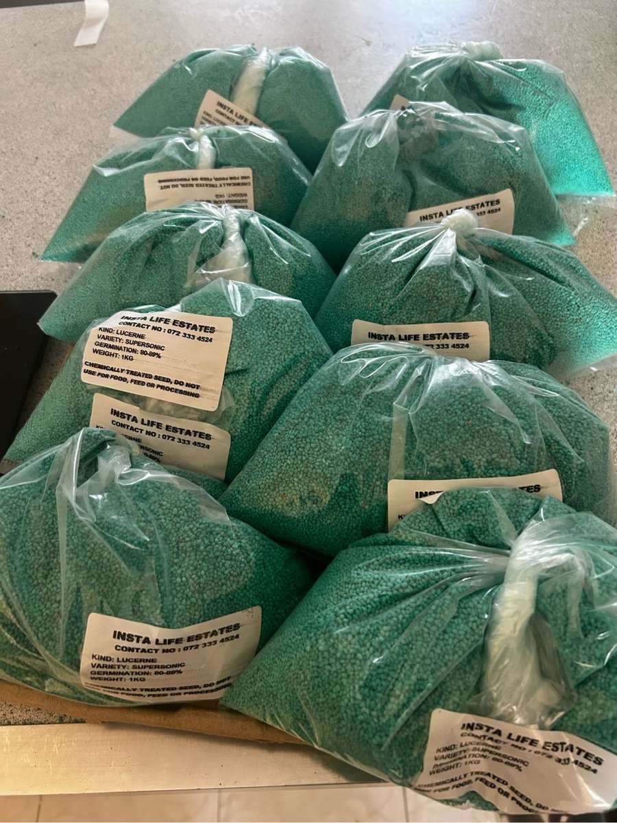 Lucerne seeds - Supersonic variety