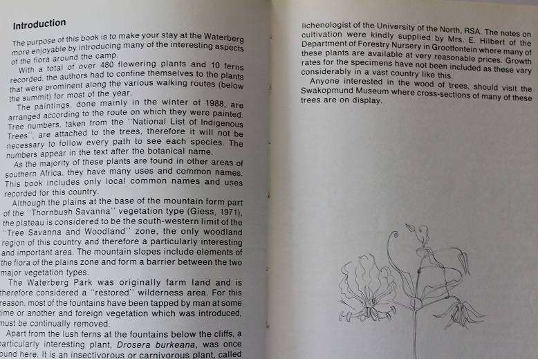 Waterberg Flora by P. Craven & C. Marais. Footpaths in and around the camp.