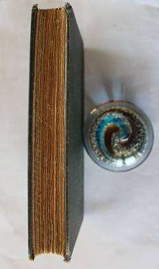 The Transvaal from within by J.P. Fitzpatrick. A Private Record of Public Affairs. First ed. 1899 !