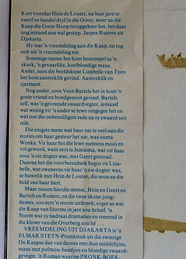 Vreemdeling uit Djakarta deur Elmar Steyn