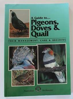 A guide to Pigeons, Doves & Quail by Danny Brown. Their management, care & breeding.